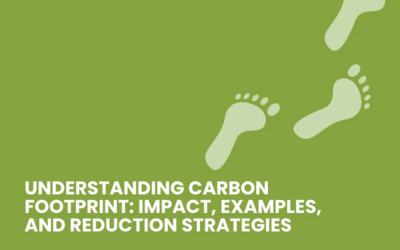 Understanding Carbon Footprint: Impact, Examples, and Reduction Strategies
